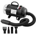 Black blow suction