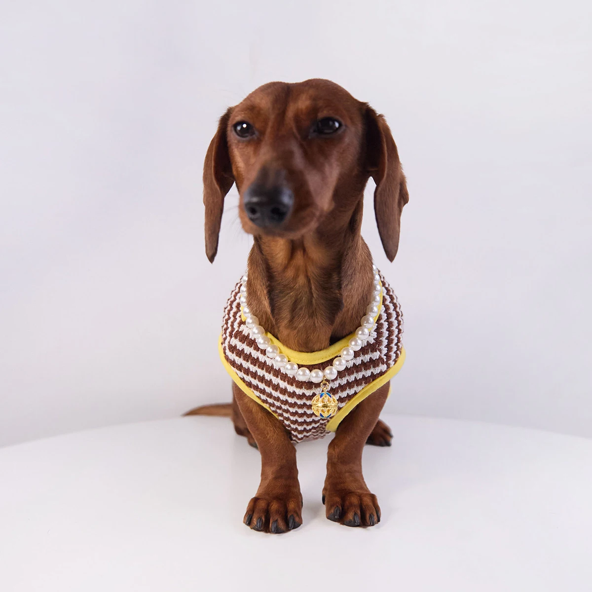 Camiseta de rayas para perros Dachshund - verano algodón suave - imagen 4