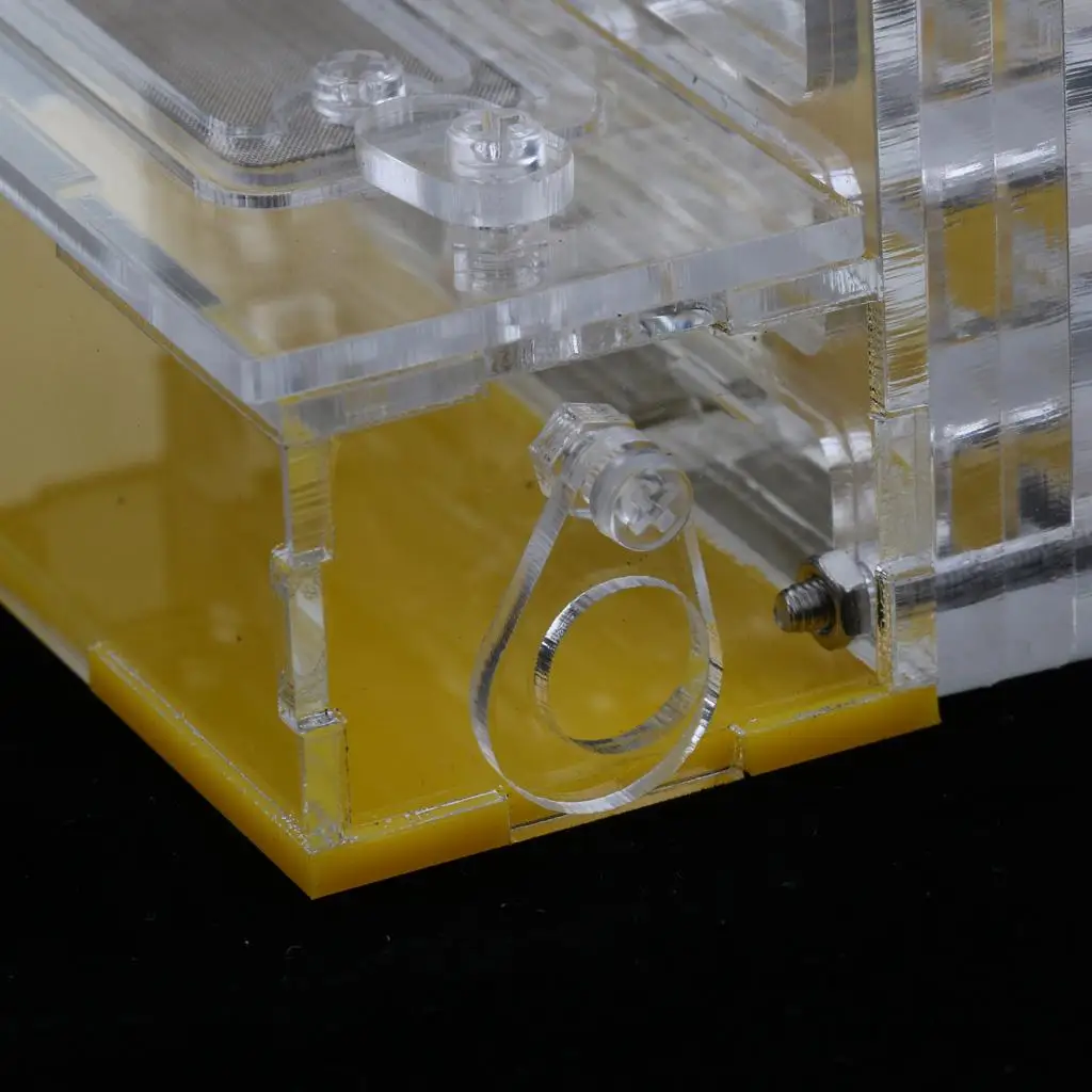 Carcasa transparente para insectos y hormigas, nido acrílico, caja de formicario para granja de alimentación - imagen 5