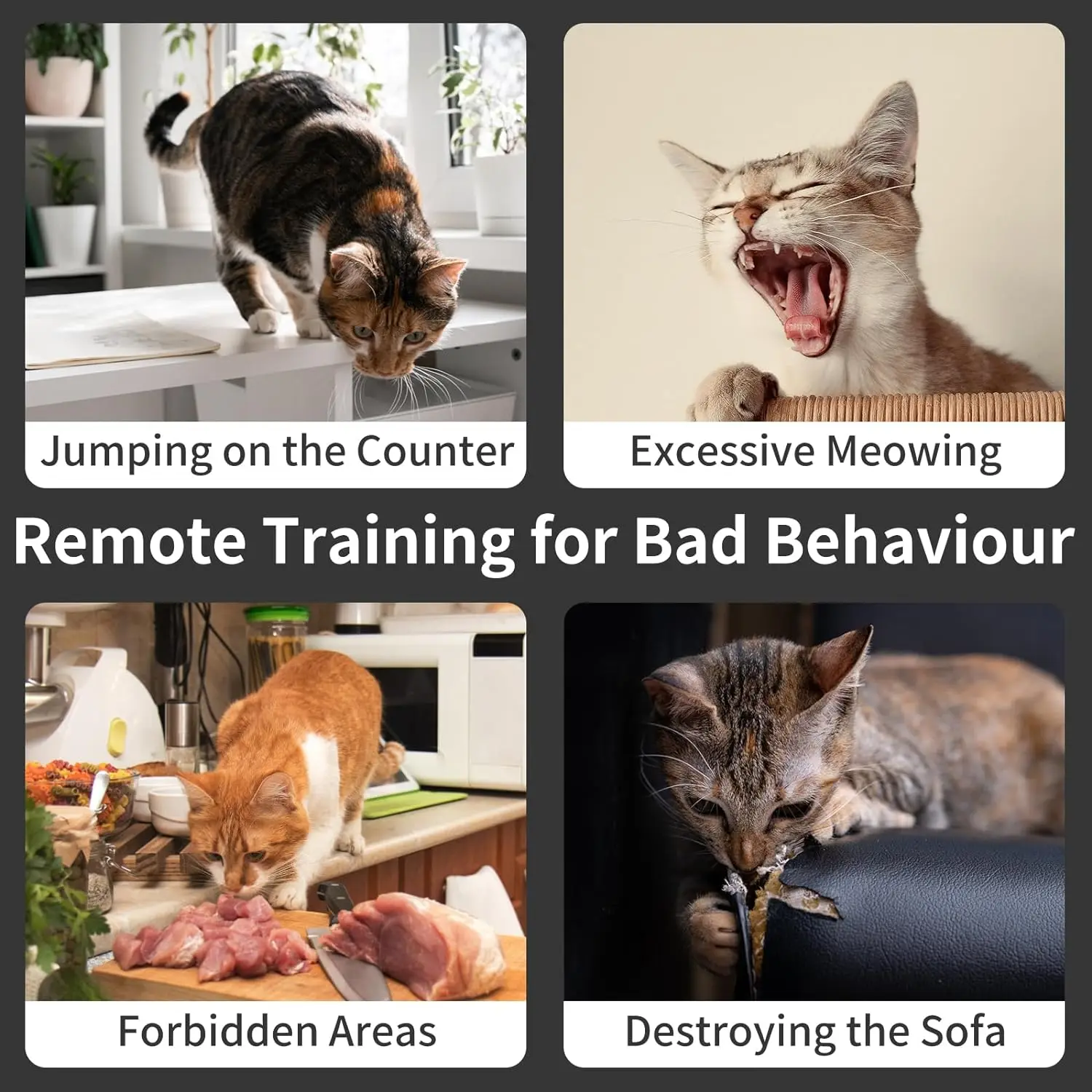 Collar de entrenamiento para gatos con anti-meow automático, Collar de choque para gatos con control remoto, pitido, vibración, choque de seguridad, 4 modos para un mal comportamiento - imagen 4