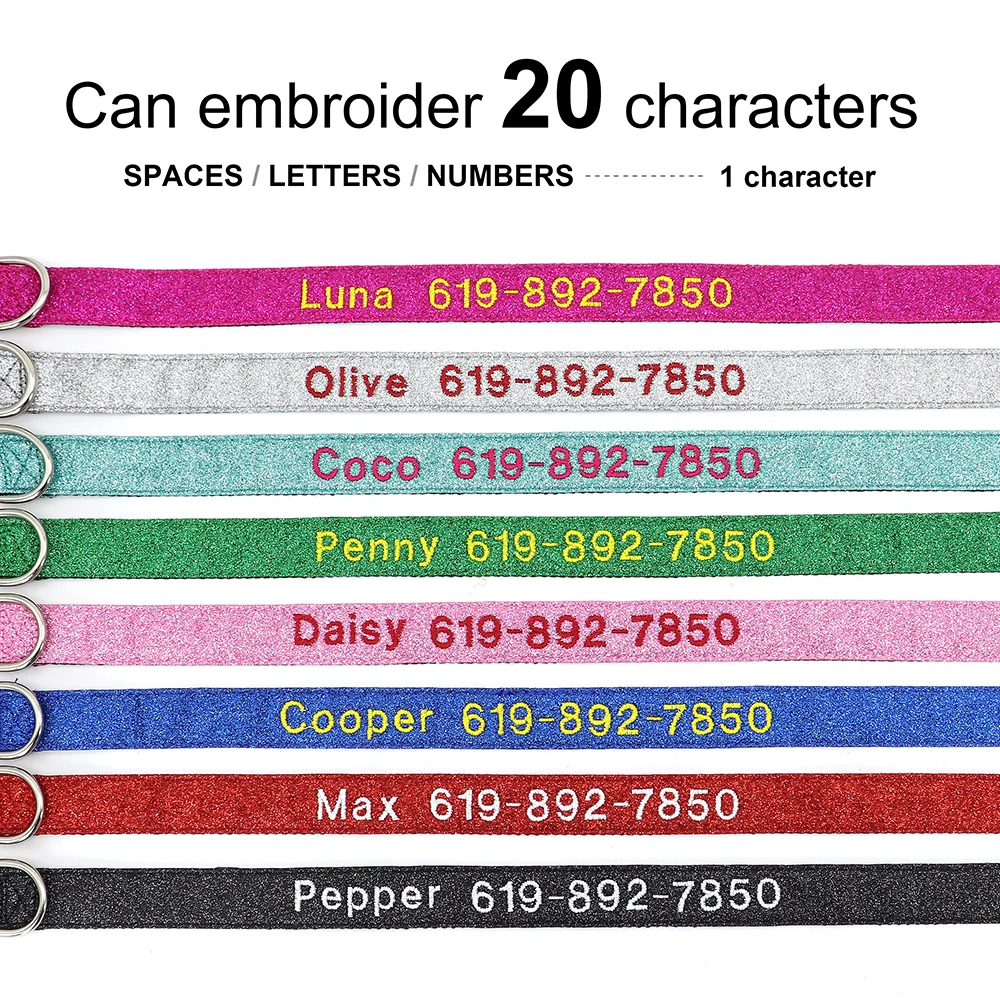 Collar Perro Bordado Personalizado - uso en gatito