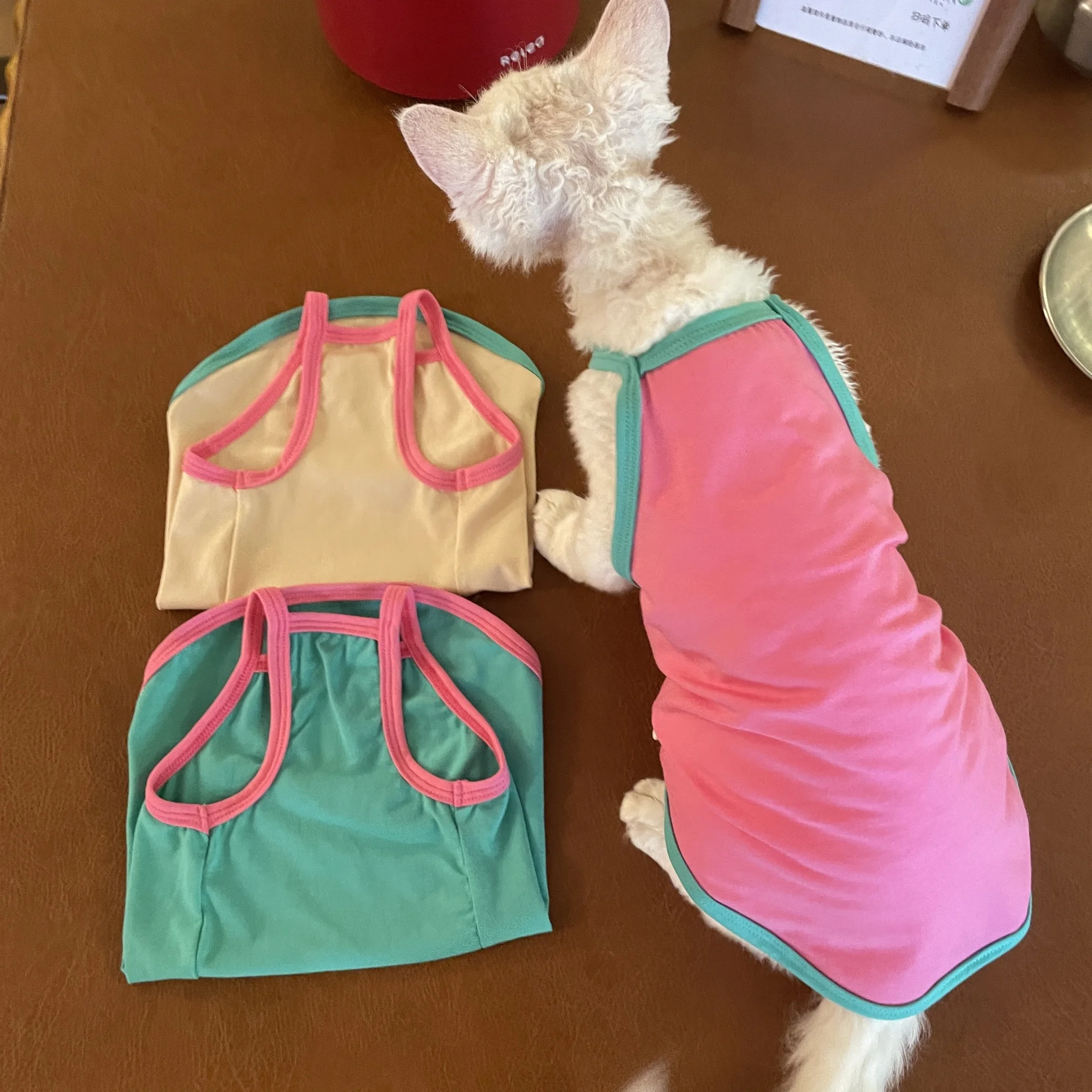 Camisola de algodón colorida en verano, bonito chaleco rosa suave para Devon Rex, abrigo sin mangas para habitación con aire acondicionado para gato Sphynx
