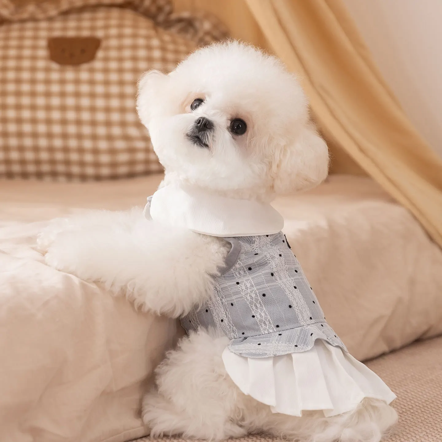 Vestido fino de lunares para otoño e invierno, abrigo de otoño e invierno con solapa para perro, ropa para perros pequeños, ropa para cachorros - imagen 3