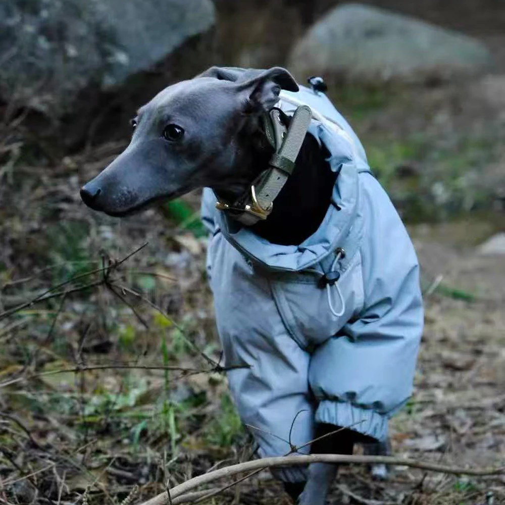 Manteau d'hiver en duvet de canard 90 blanc chaud pour petit lévrier italien, veste coupe-vent à col haut pour Whippet par temps froid - imagen 2