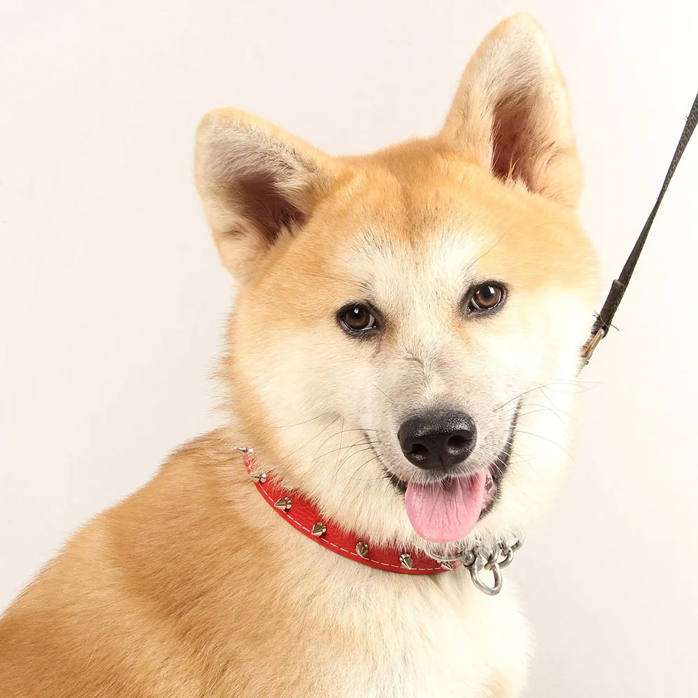 Collar para perro grande y mediano: banda para el cuello de cuero PU estilo punk para mascotas con picos, Collar duradero para perros de razas grandes, suministros para mascotas - imagen 3