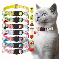 Collar de gato identificación personalizada, hebilla seguridad campana