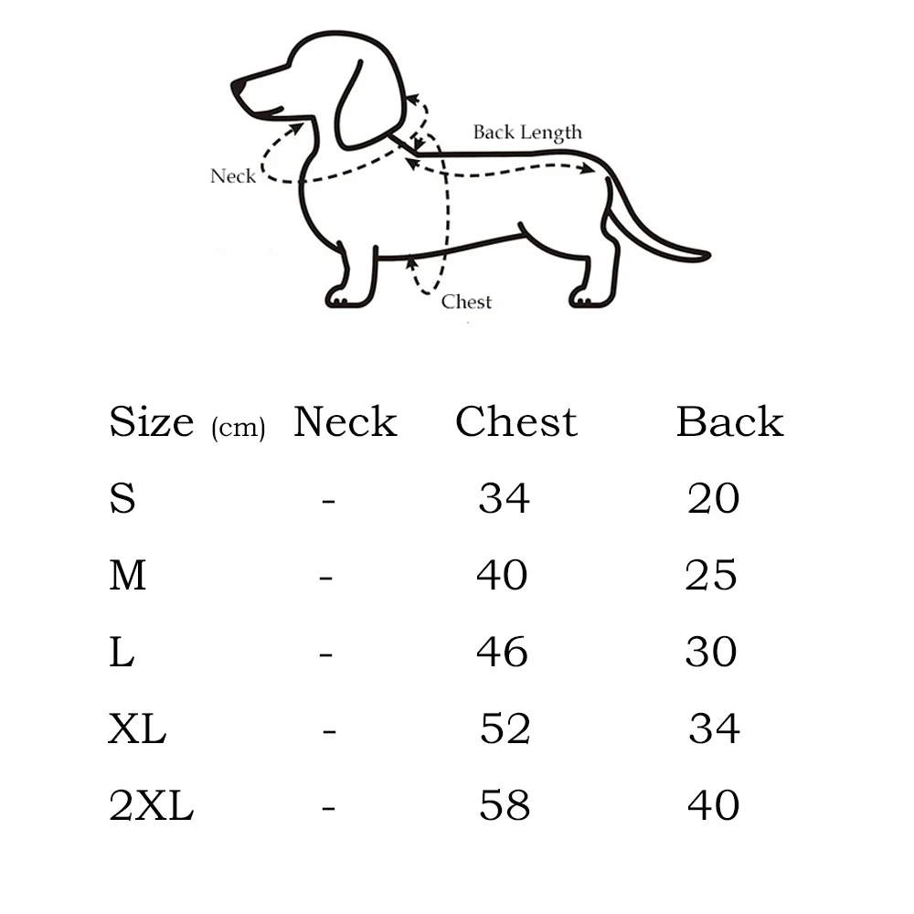 Chaqueta ABQP para perro dachshund – vista frontal