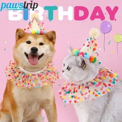 Conjunto de sombrero y bufanda para cumpleaños de gatos y perros