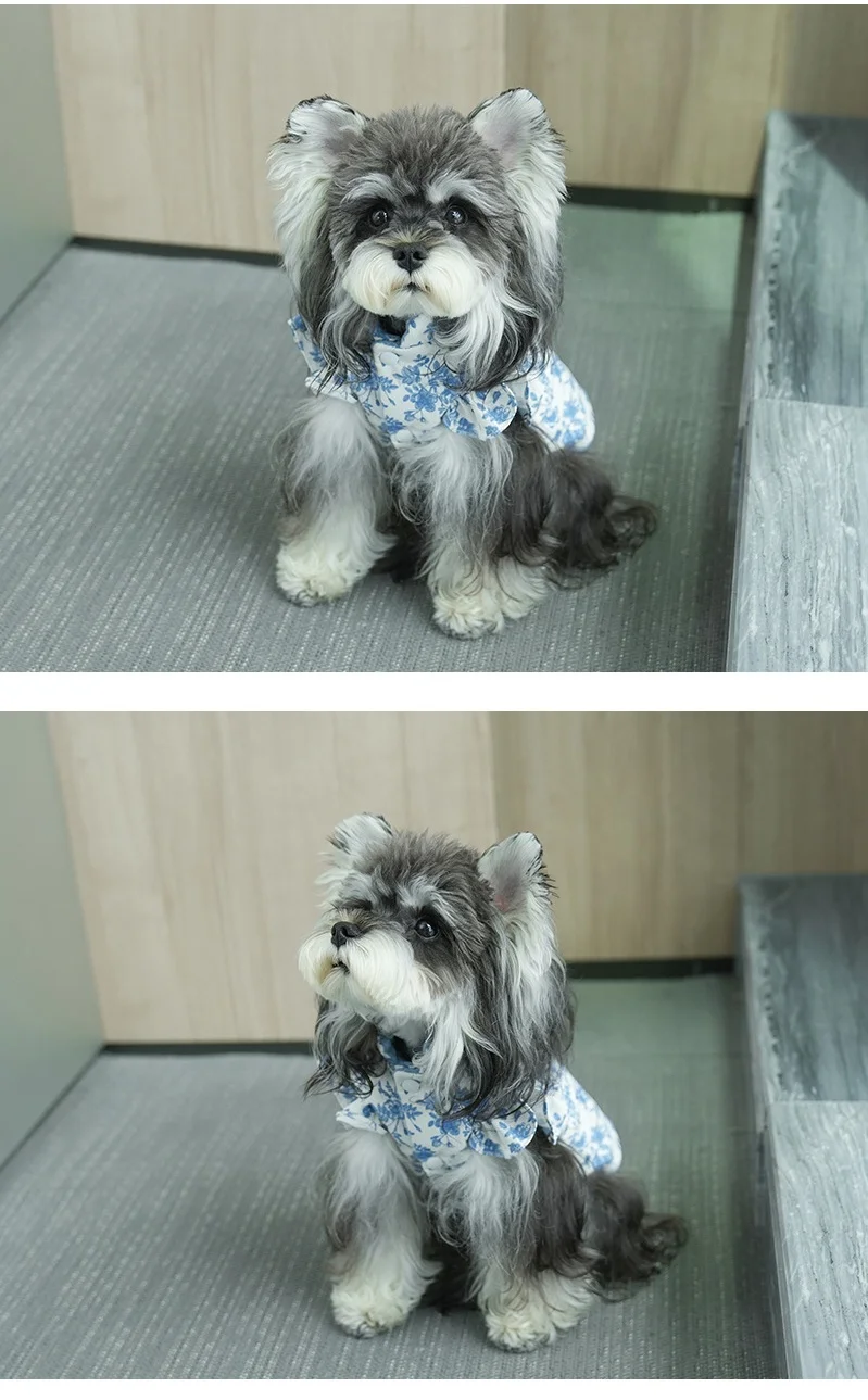 Ropa de invierno para perros con anillo de correa, abrigo de algodón para mascotas para clima frío, chaleco cálido de lana para perros, chaqueta suave a prueba de viento, trajes para mascotas - imagen 5