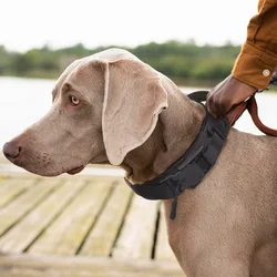 Collar táctico ajustable perro mediano grande – Paseo y entrenamiento