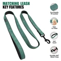 Green Leash