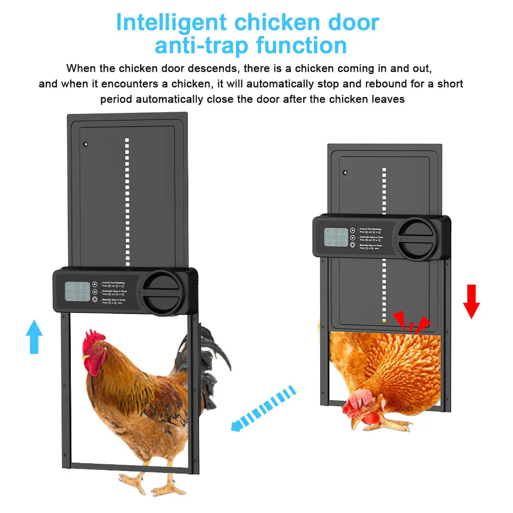 Funcionamiento de la puerta automática para gallinero