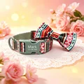 Morandi Green Ethnic