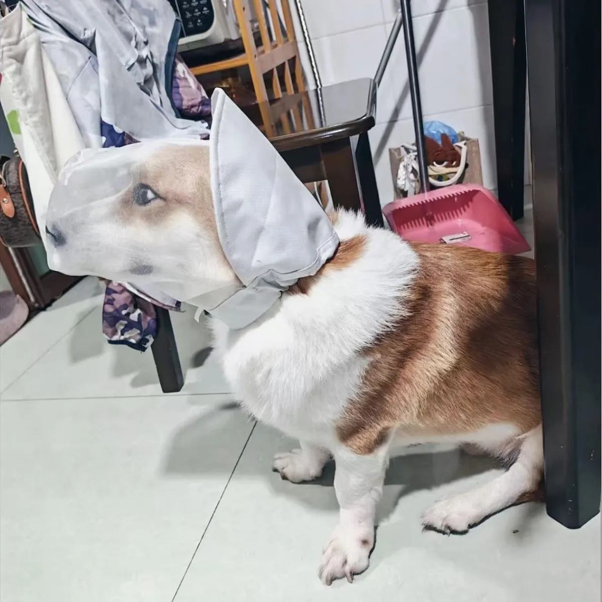 Repelente de mosquitos para perros con máscara protectora - imagen 3