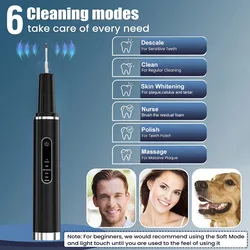 Limpiador dental ultrasonido para perros – elimina placa y sarro