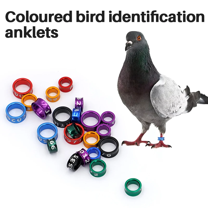 10 Uds. Anillos de aluminio para pies de Paloma, anillos para piernas de loro, identificación de alimentación de loros y pájaros, herramientas de entrenamiento de vuelo al aire libre, suministros para aves