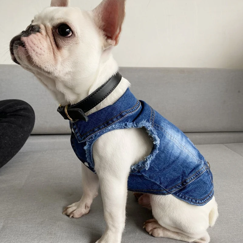 Chaqueta vaquera deshilachada para perro, chaleco con solapa para perros pequeños, camisa vaquera azul, ropa para cachorro, disfraz de Chihuahua, primavera de 2020 - imagen 5