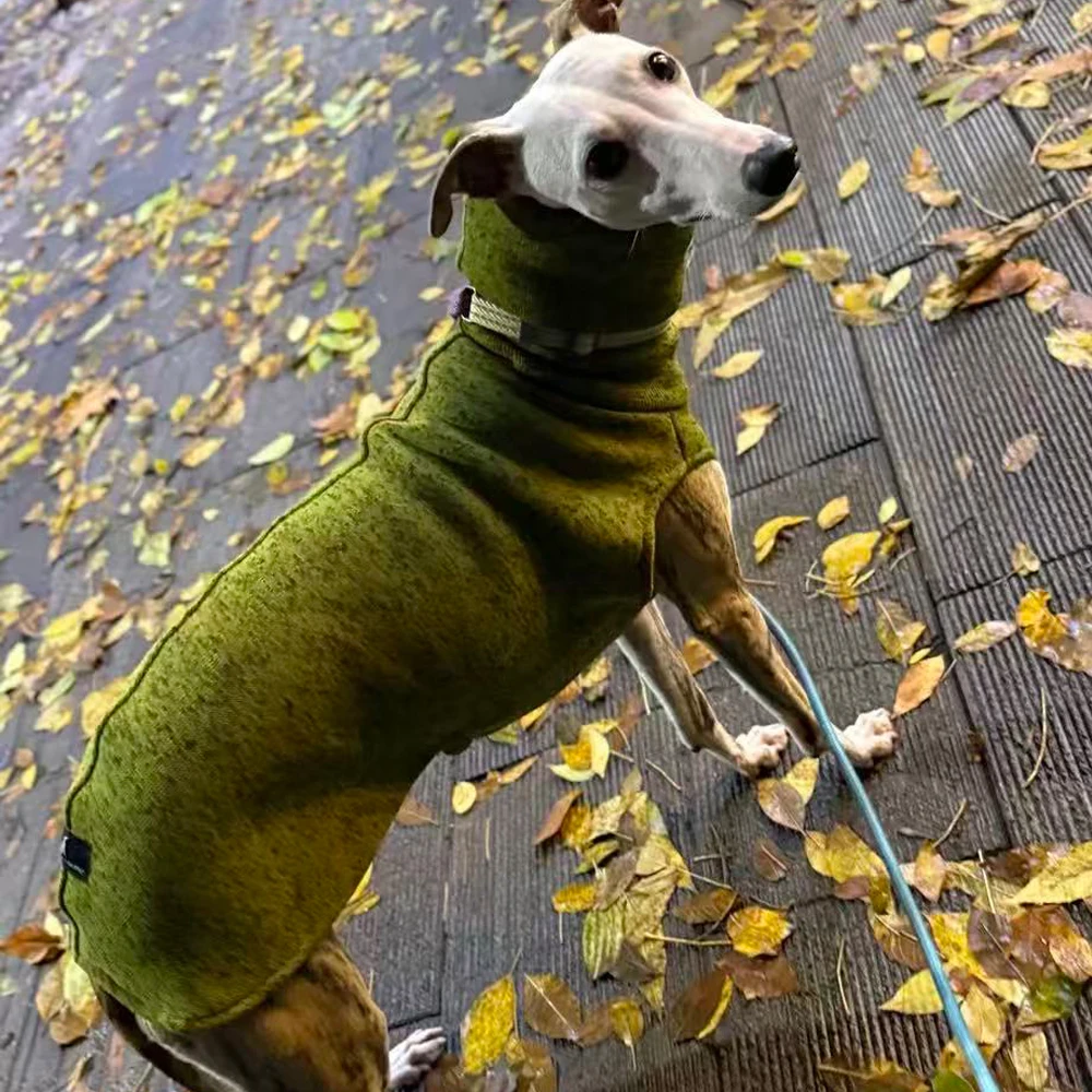 Sudadera gruesa de lana verde para perros Whippet en invierno, abrigo cálido con mangas de 2 patas y cuello alto para la cabeza para galgo italiano
