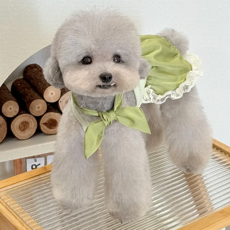 Ropa de encaje para mascotas, mono de seda, camiseta sin mangas dividida con lazo, media falda de encaje de burbujas, vestidos finos de verano para perros pequeños - imagen 5