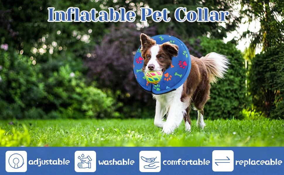 Perro descansando con el collarín inflable