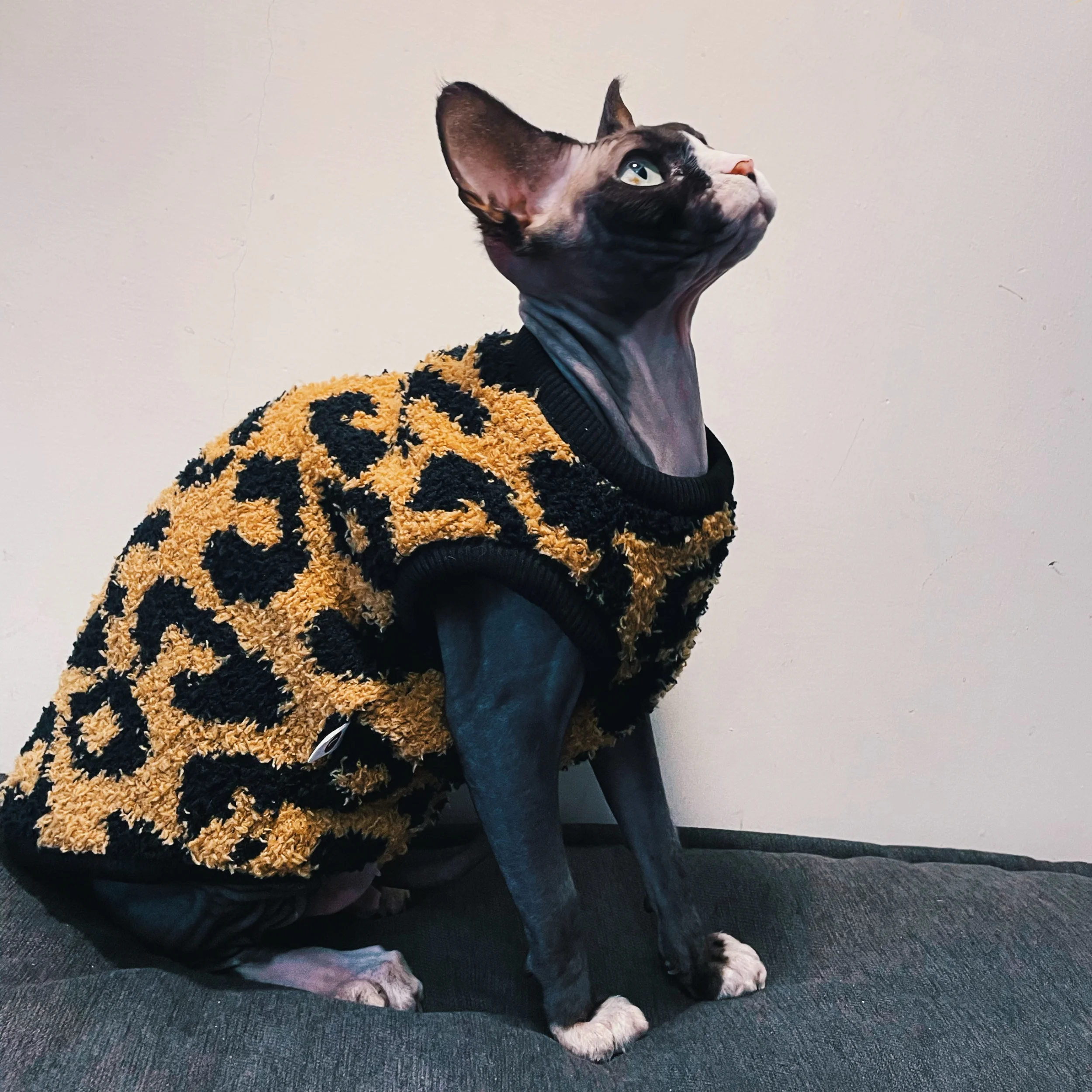 Brwon-abrigo polar de leopardo para gato sin pelo, chaleco de manga corta suave y cálido para invierno, suéter de Color oscuro Devon Rex para gato Sphynx - imagen 3