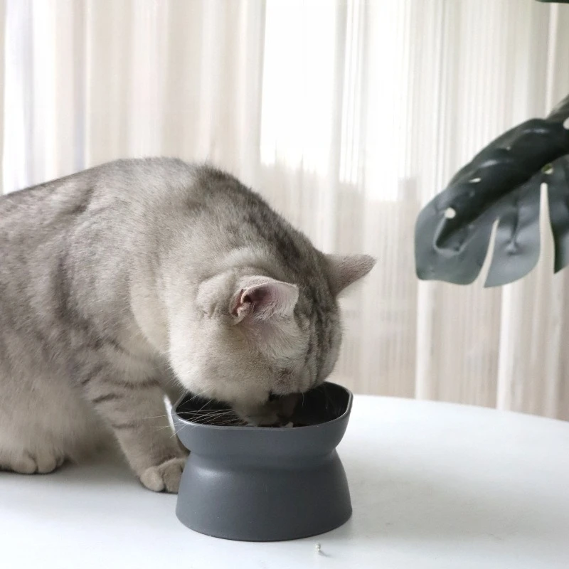 Cuencos elevados para mascotas, comedero antiderrames para gatos y perros pequeños y medianos, platos para beber y comer para mascotas para una comida cómoda