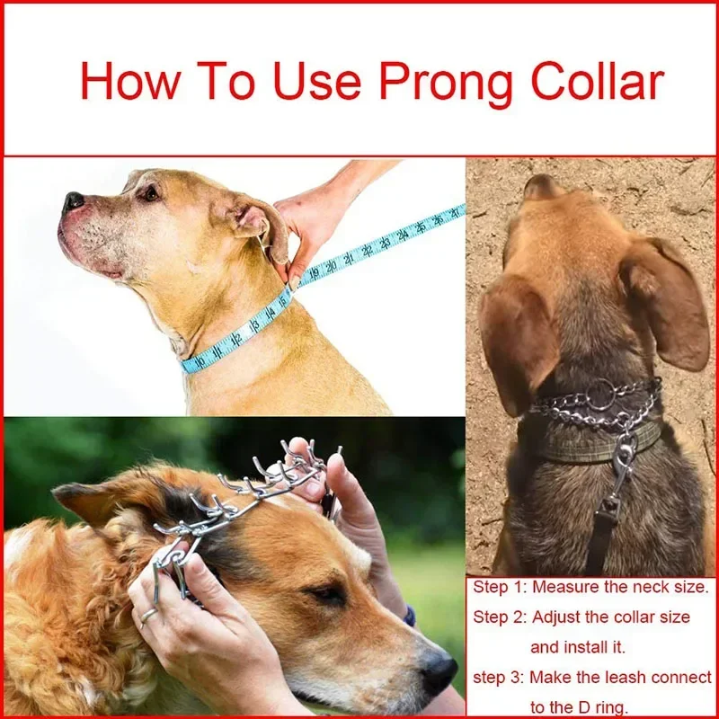 Collar pinza adiestramiento perro puntas goma ajustable desmontable - imagen 4