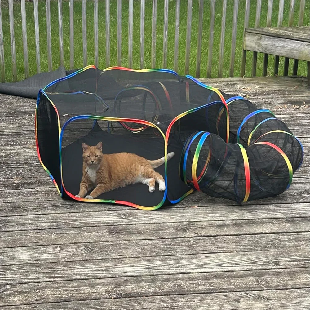 Casa exterior de arcoíris para gatos de interior, parque infantil, tienda plegable portátil, túnel, diseño amigable con animales pequeños para jugar gatos - imagen 4
