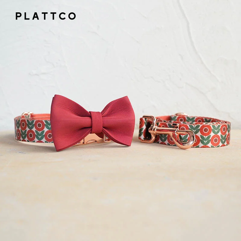 Bow Tie Collar Leash