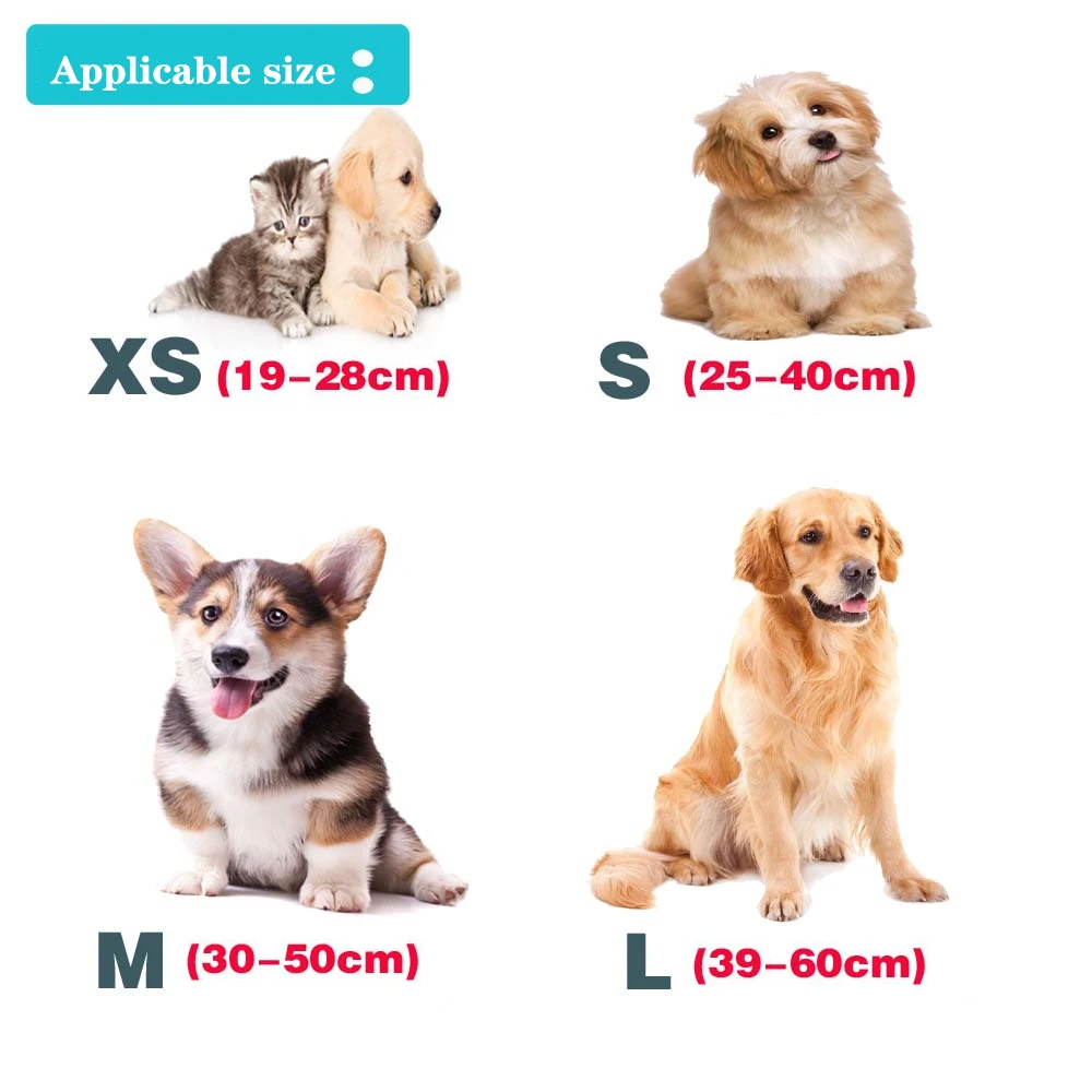 Collar reflectante de nailon para perro y gato, conjunto de cuerda de tracción para Chihuahua, pequeño y mediano, conjunto de correa - imagen 3