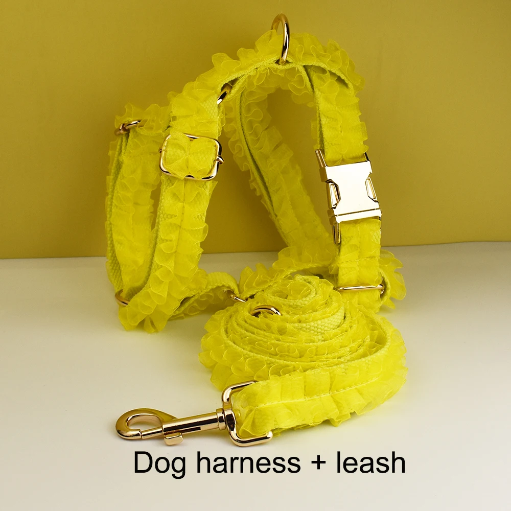 Harness   leash