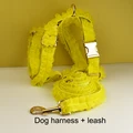 Harness   leash