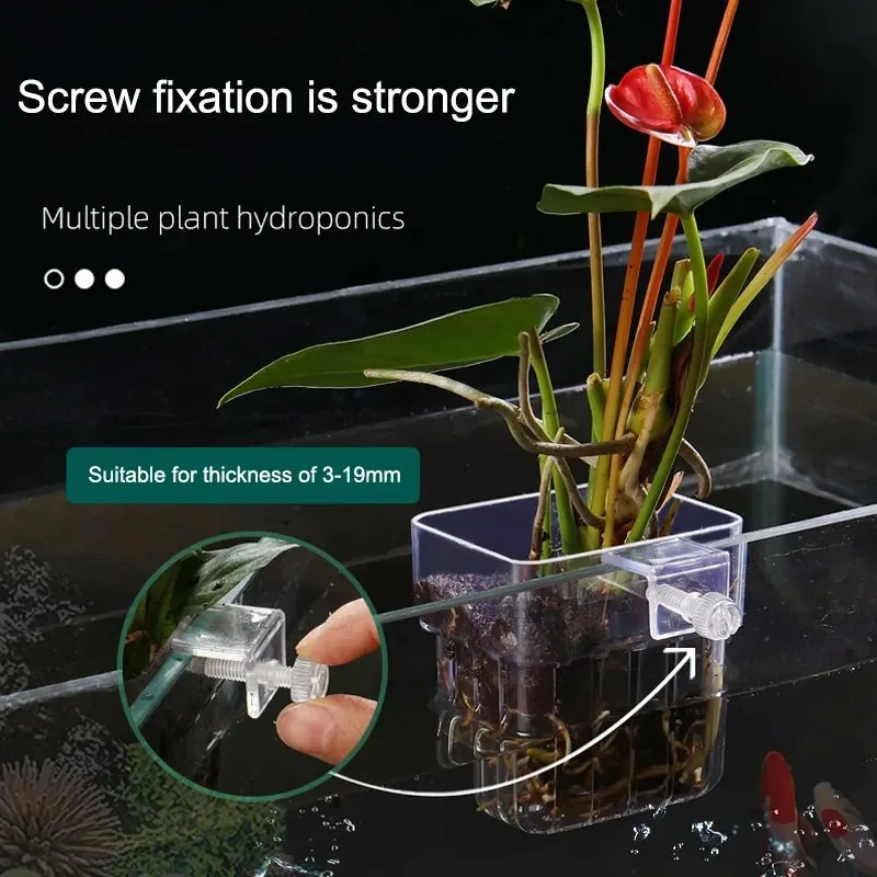 Cesta de plantas de acuario transparente, maceta decorativa colgante para pecera, soporte para plantas acuáticas, taza para plantas acuáticas, macetero para pecera - imagen 4