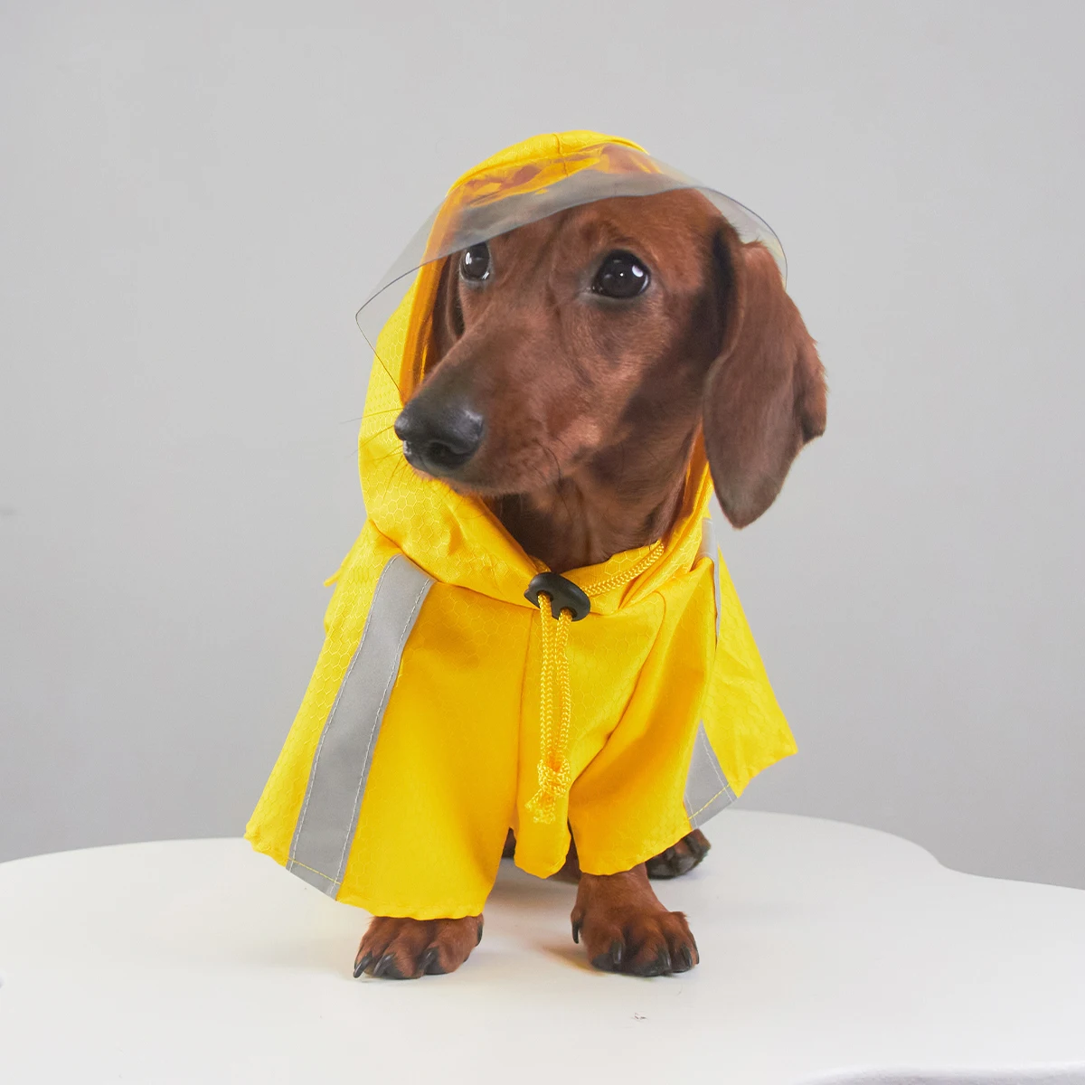 Chaqueta reflectante para perros salchicha, impermeable amarillo repelente al agua para perros Wiener, abrigo impermeable con capucha para perros salchicha - imagen 3