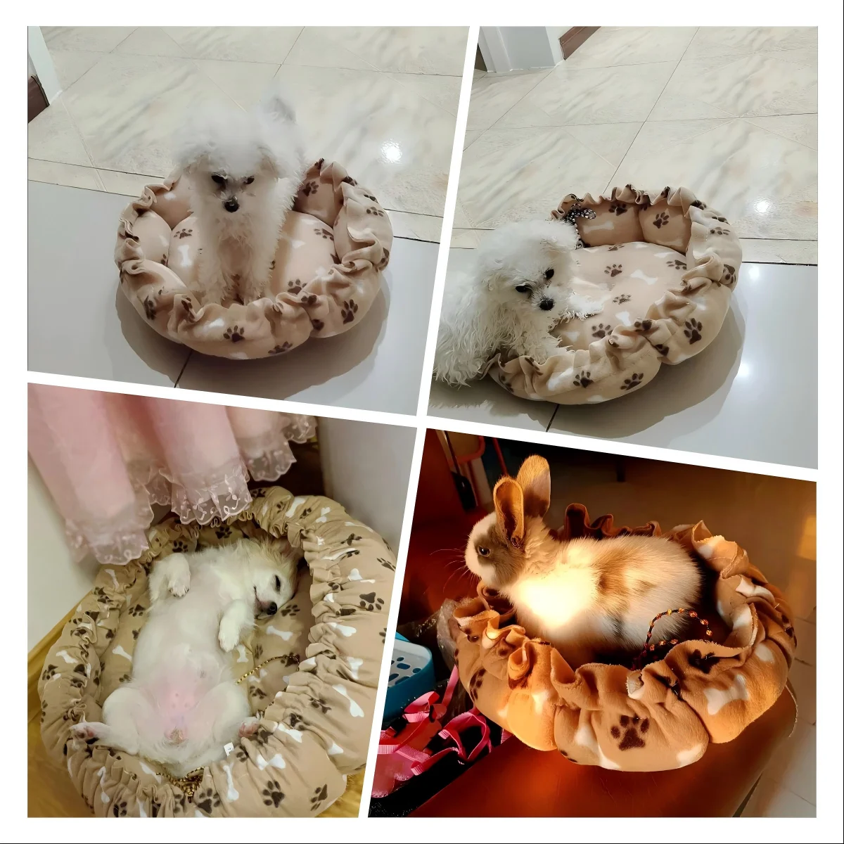 Cama nido creativa suave y cálida para mascotas, cama nido ajustable con cordón de doble uso, cojín para mascotas, suministros para gatos y cachorros - imagen 2