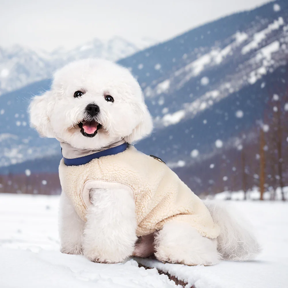 Chaleco de invierno para perros de razas pequeñas, abrigo cálido con forro polar grueso de felpa para ropa de cachorro de peluche Schnauzer - imagen 2