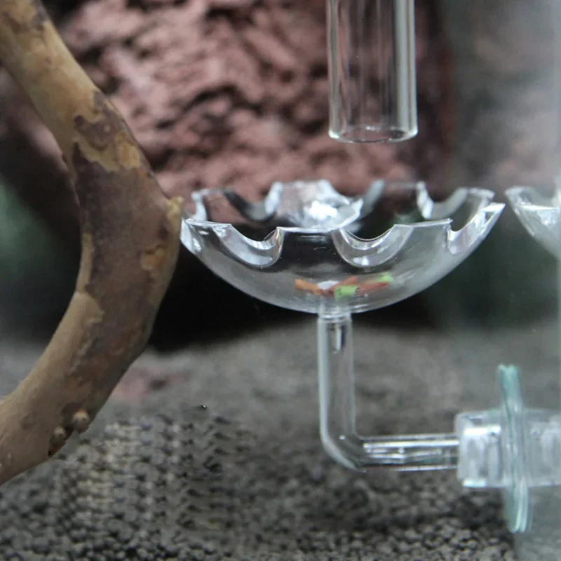 Alimentador de alimentos para peces de acuario, tubo de alimentación de vidrio transparente, plato de succión, cuenco para camarones, tubo alimentador para bandeja alimentadora de tanque de peces - imagen 2