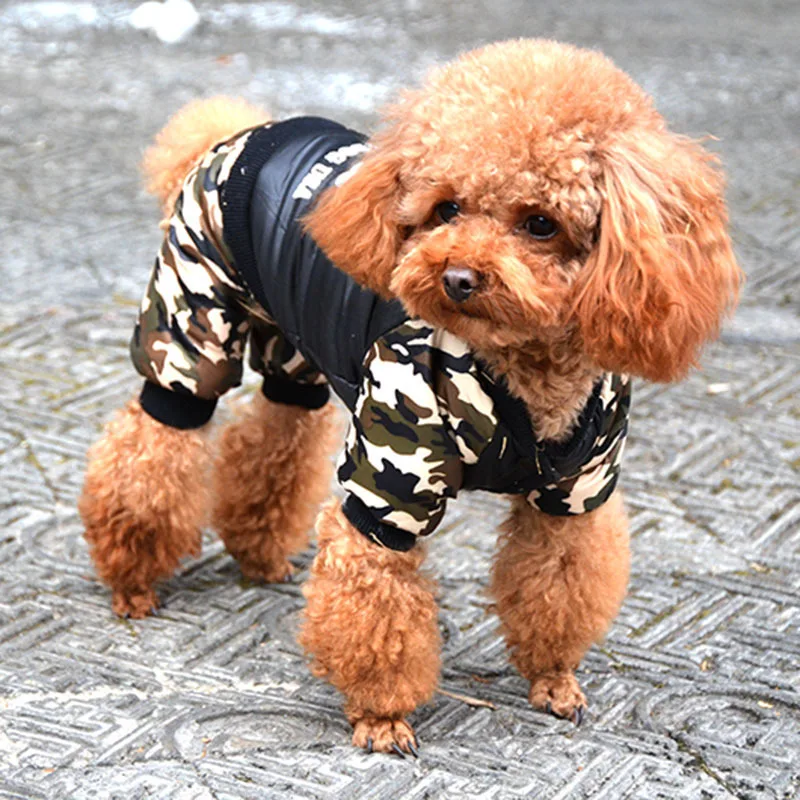 Ropa térmica para perros: disfraz y mono abrigado para invierno - imagen 2