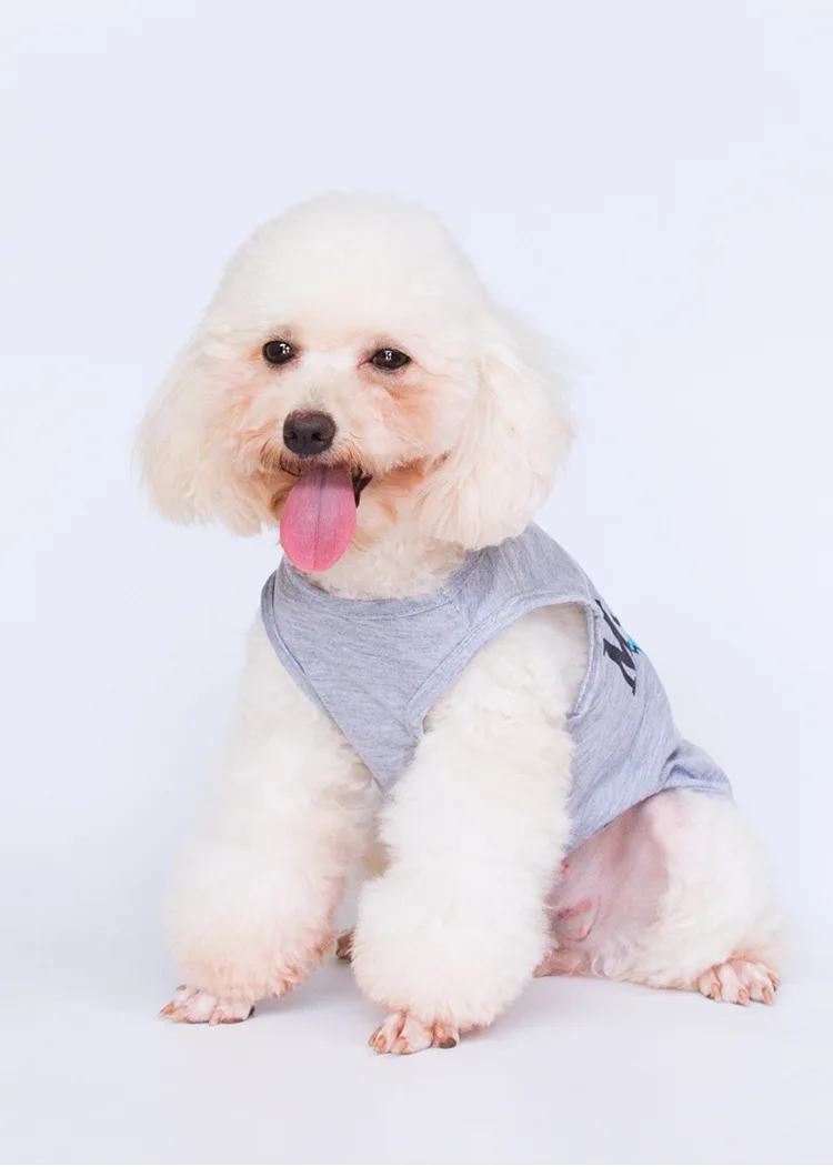 Camisa cachorros Yorkies - Detalle material suave