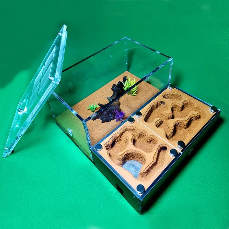 Casa de granja de hormiga de hormigón supergrande, nido de hormiga de yeso para mascotas, Castillo de insectos, taller, hormigero M con área de caza - imagen 2