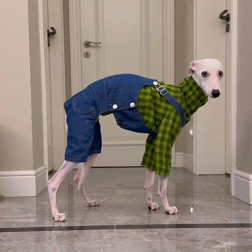 Conjunto vaquero para perros – Camiseta verde sin mangas + jean - imagen 2