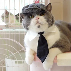 Disfraz gángster para gato – Boina, corbata y sombrero