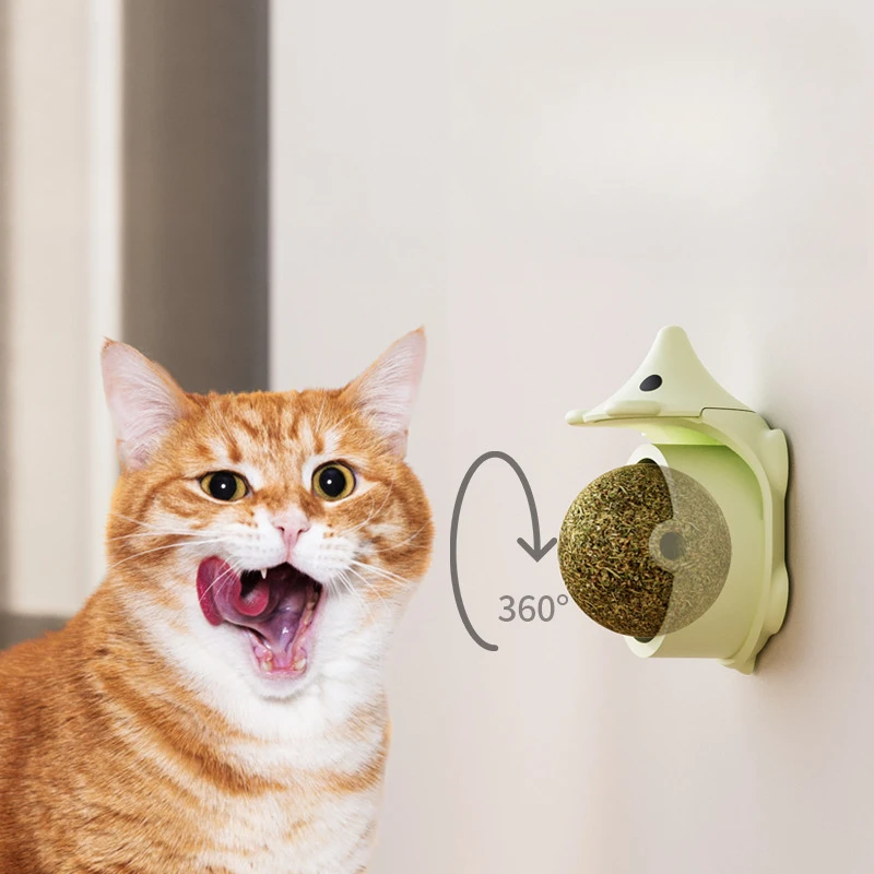 Bolas de hierba gatera divertidas para gatos pequeños y medianos, juguete de Limpieza de dientes, suministros para mascotas