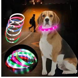 Collar LED para perros impermeable - Luz USB y seguridad nocturna