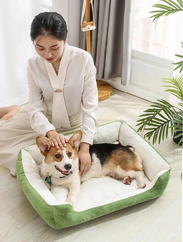 Sofá de nido suave para dormir, cama de hueso para perro, casa de felpa para mascotas, cojín para gato, cesta cálida, perrera, casa para cachorros, accesorios para el hogar interior - imagen 2
