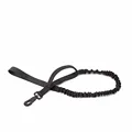 Black Dog leash