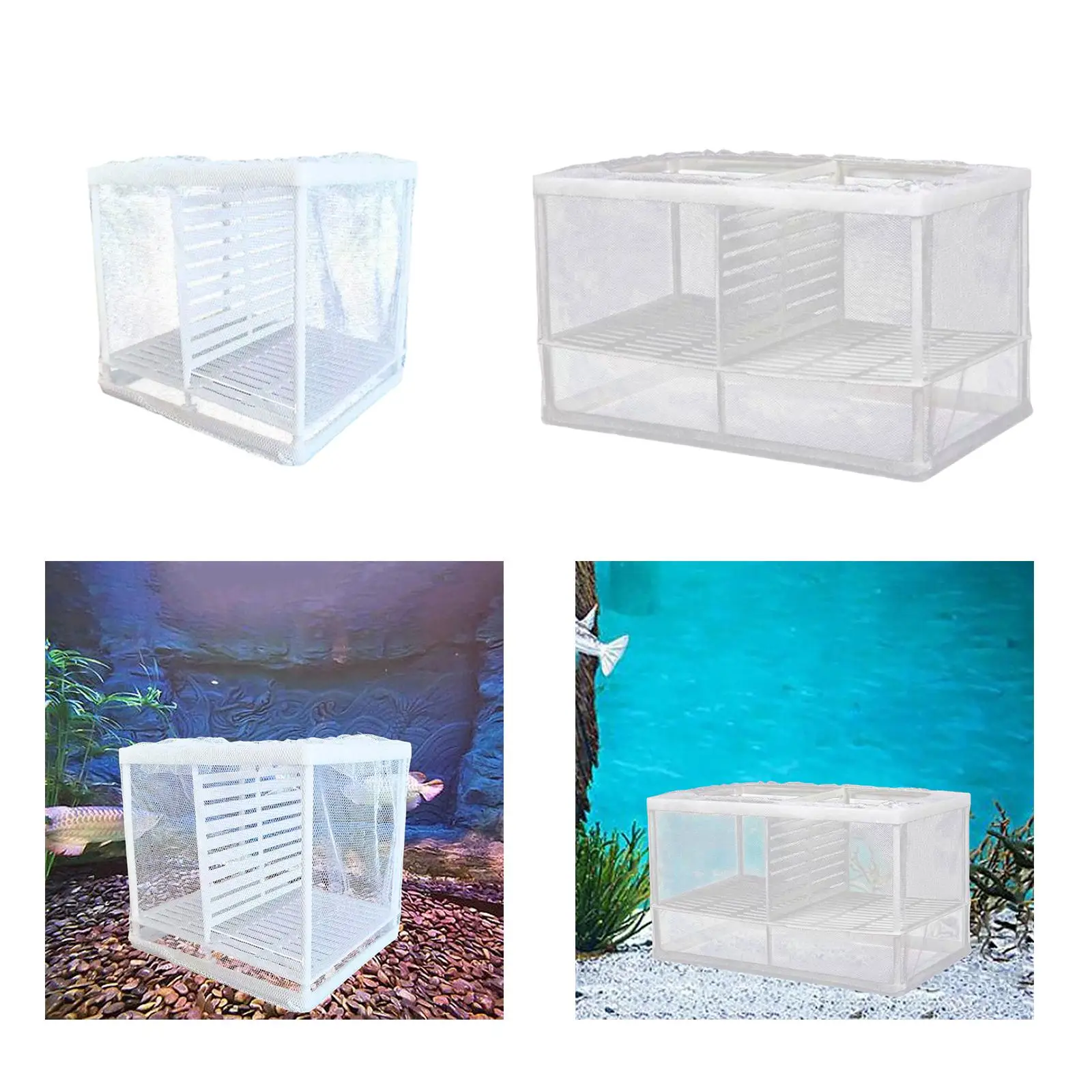 Fishes Tank Separation Box Baby Fishes Hatchery Large Capacity W/ Suction Cups Separation Net Aquarium Accessories for Home Use Fishes Tank Separation Box Baby Fishes Hatchery Large Capacity W/ Suction Cups Separation Net Aquarium Accessories for Home Use