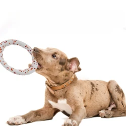 Pelota ETPU resistente a mordeduras para perros – Juguete interactivo