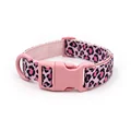 Pink Leopard