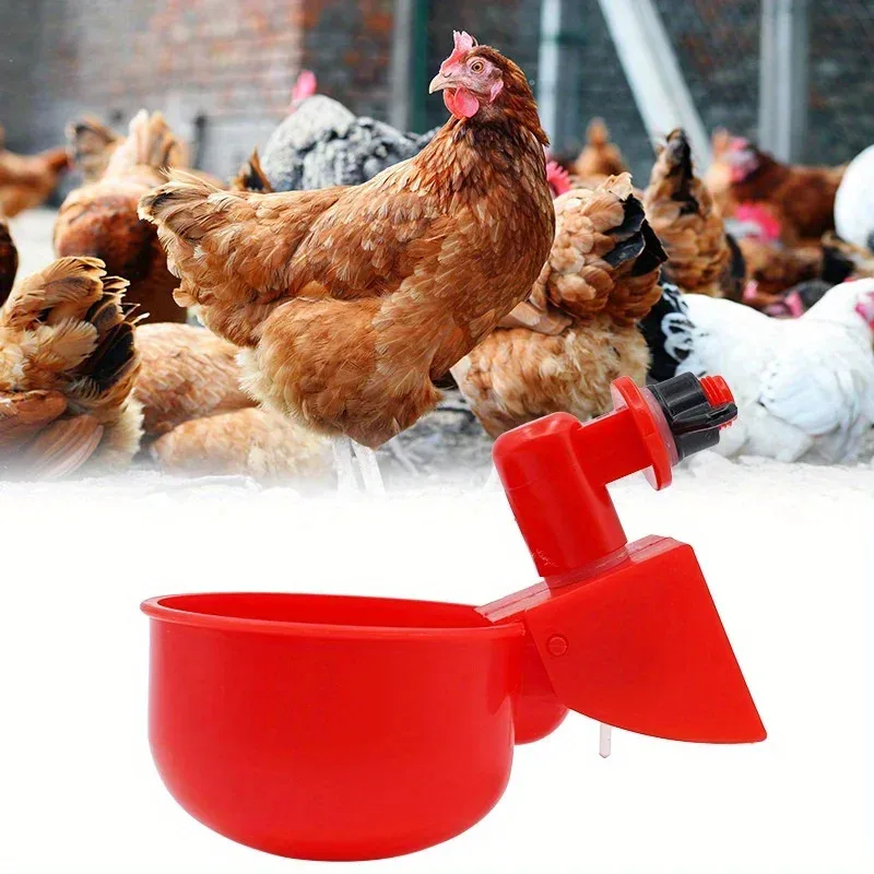 Cuenco para beber pollo, agua potable, codorniz, aves de corral, dispensador de agua automático, gama libre de patos y palomas, suministros para granja de pollos - imagen 3